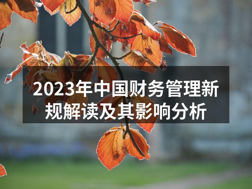 2023年中国财务管理新规解读及其影响分